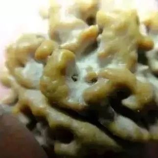 文玩中最贱（碱）的3个家伙！整不好就废了