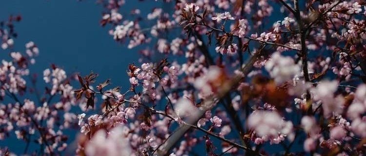 文玩保养油使用指南：核桃、葫芦、菩提子的上色与养护技巧解析