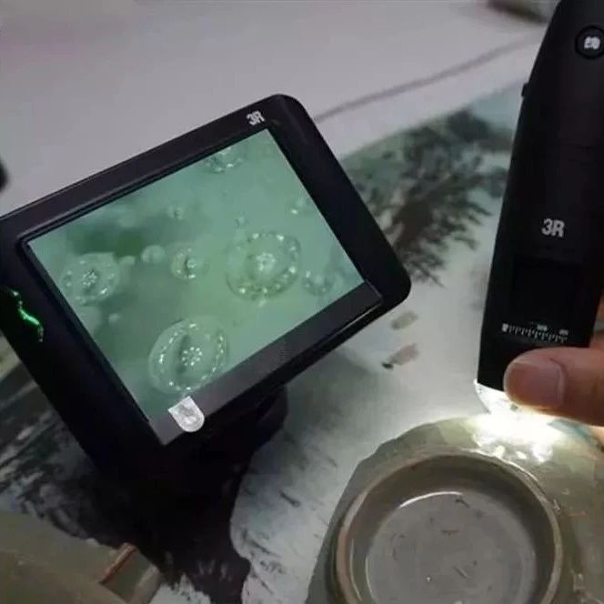 拿放大镜看古瓷，就盯着这些...