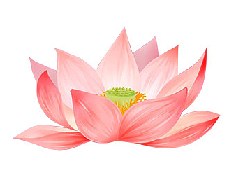 莲花2.jpg
