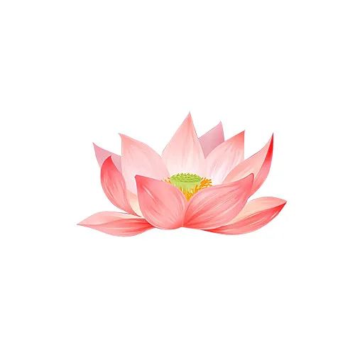莲花2.jpg