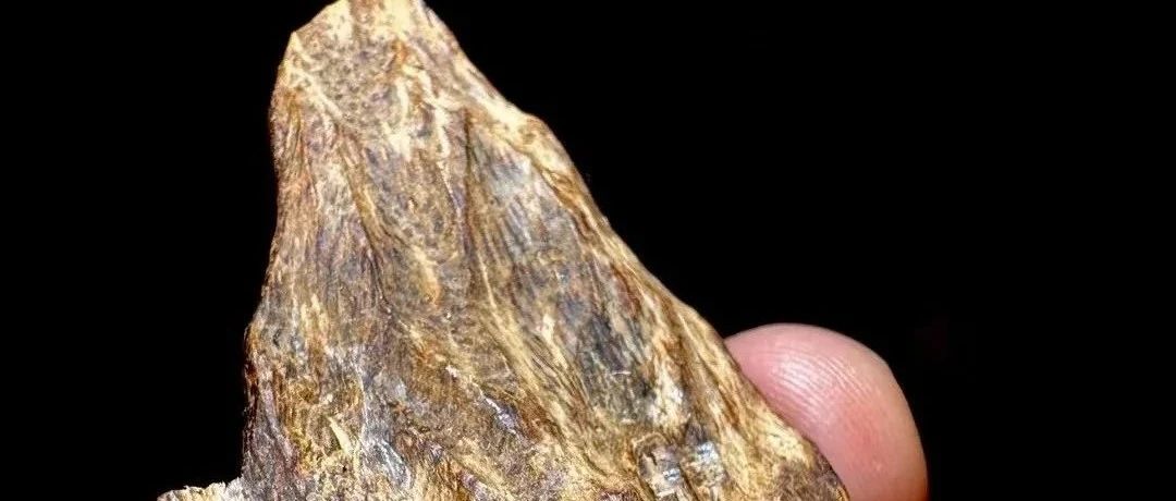 这7种文玩手串越盘越值钱！内行人都在偷偷收藏（附避坑指南）